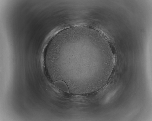X0000113090339200908281248