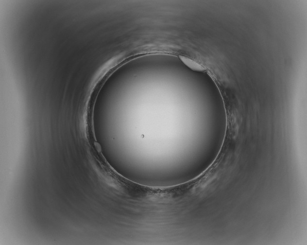 X0000113090340200908281248