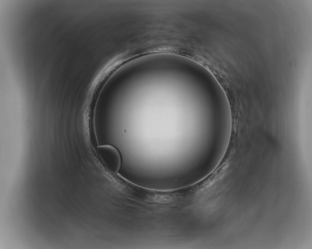 X0000113090341200908281248