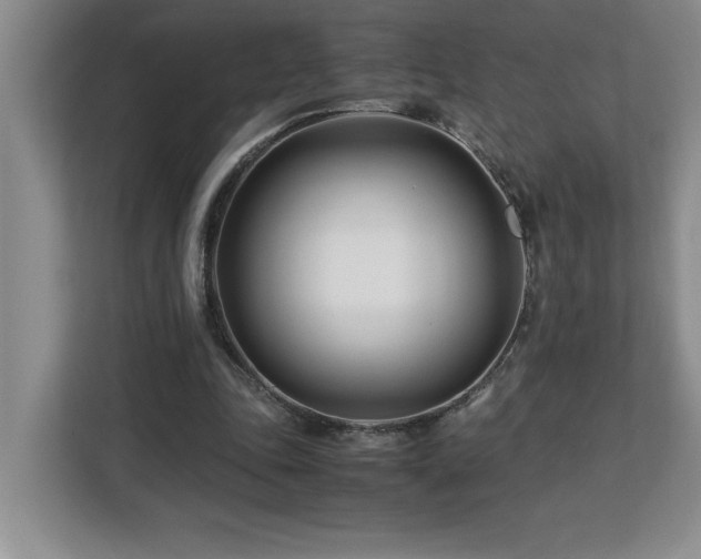 X0000113090343200908281248