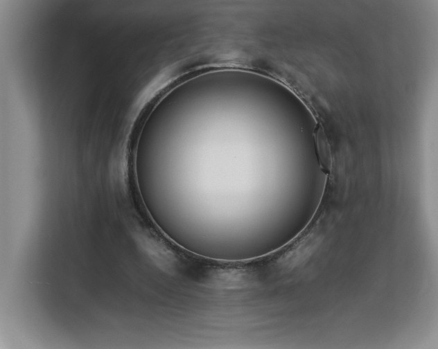X0000113090344200908281248