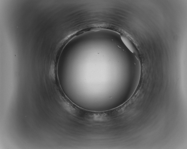 X0000113090345200908281248