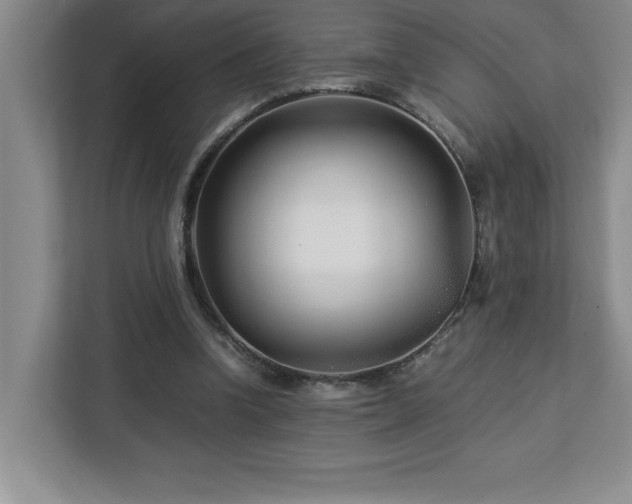 X0000113090346200908281248