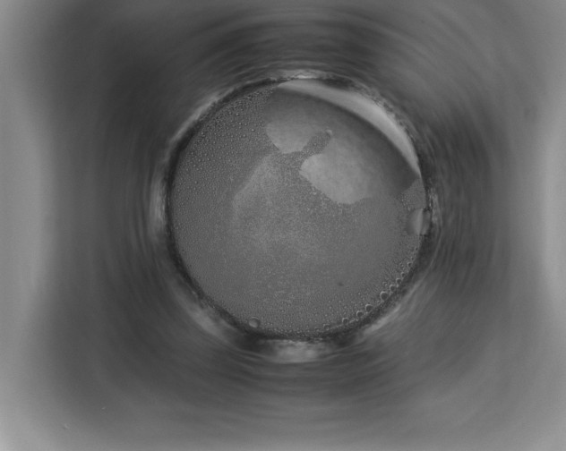 X0000113090347200908281248