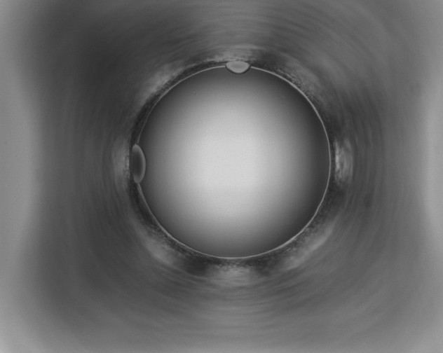 X0000113090348200908281248
