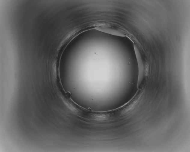 X0000113090349200908281248