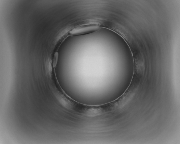 X0000113090350200908281248