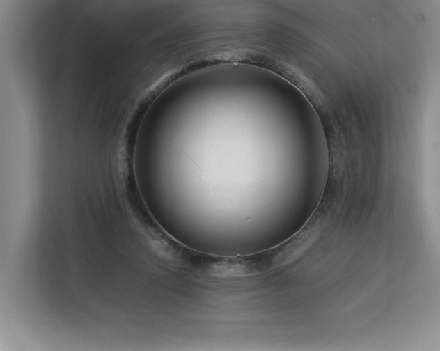 X0000113090354200908281248