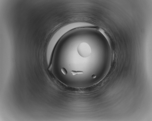 X0000113090356200908281248