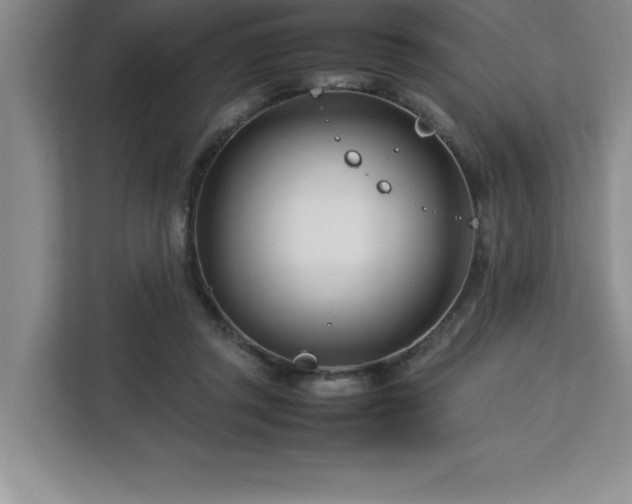 X0000113090357200908281248