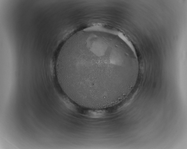 X0000113090359200908281248