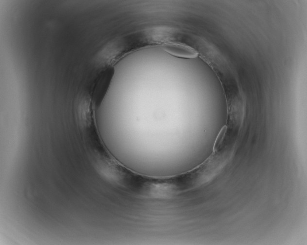X0000113090360200908281248
