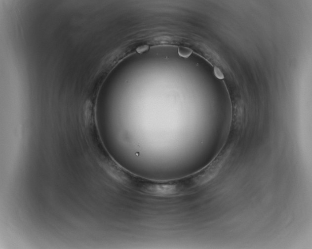 X0000113090361200908281248