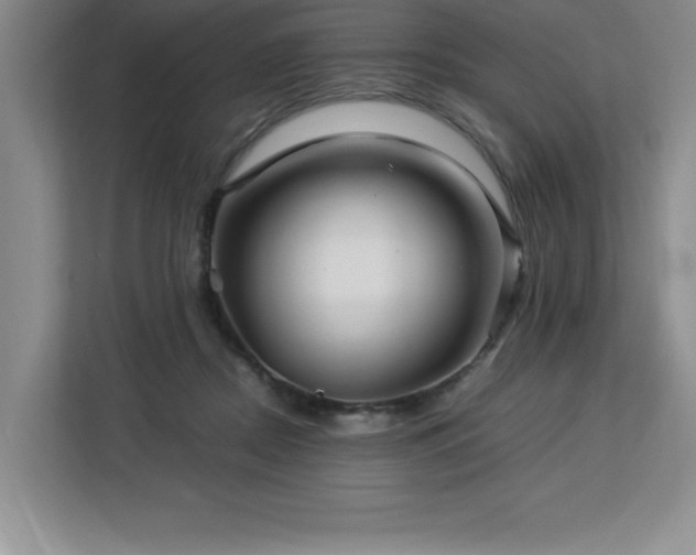 X0000113090362200908281248