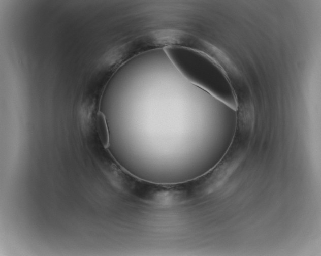 X0000113090364200908281248
