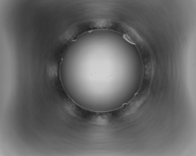 X0000113090368200908281248