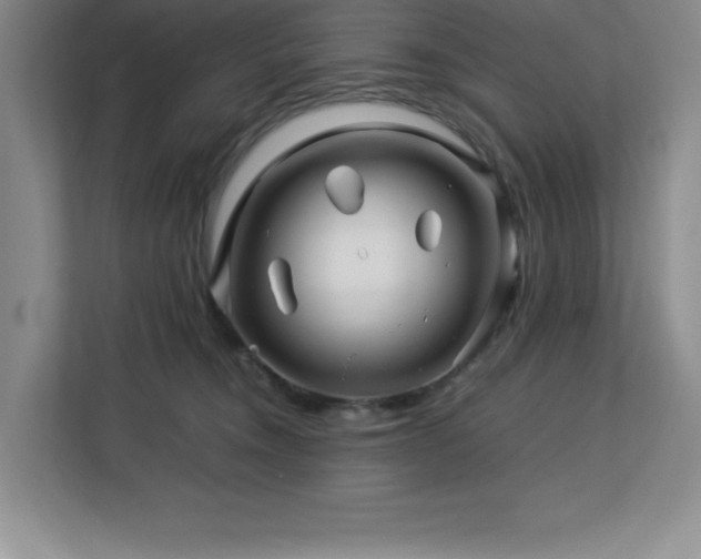 X0000113090372200908281248