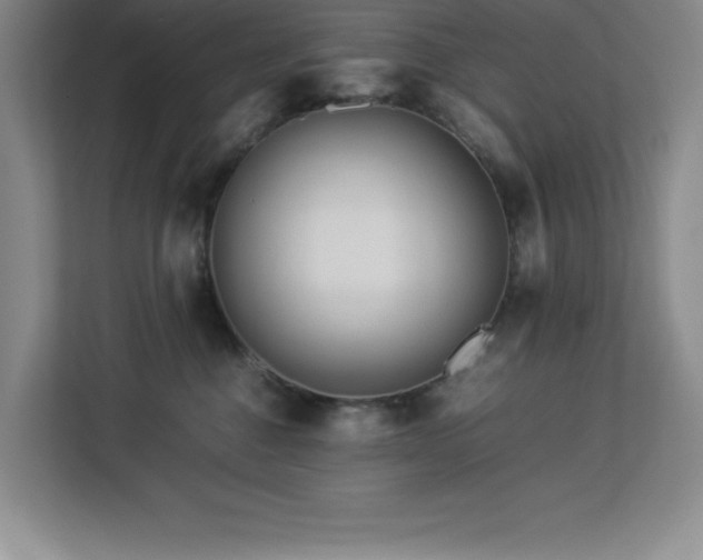 X0000113090376200908281248