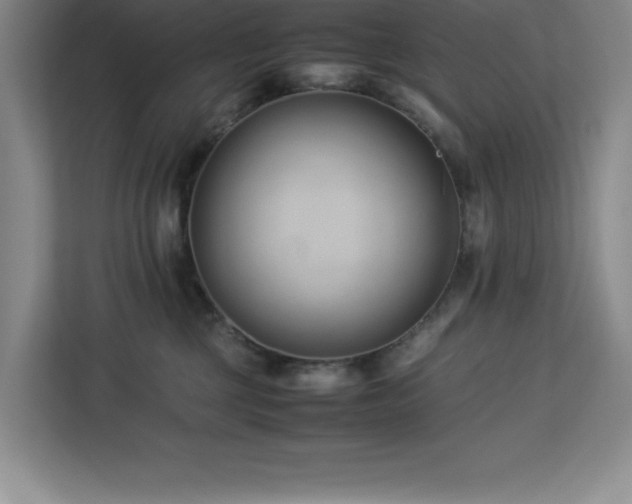 X0000113090377200908281248