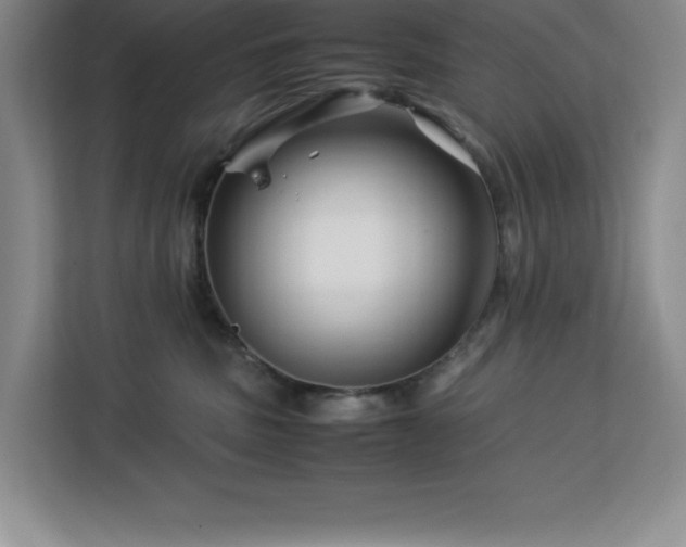 X0000113090379200908281248
