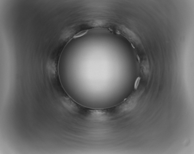 X0000113090380200908281248