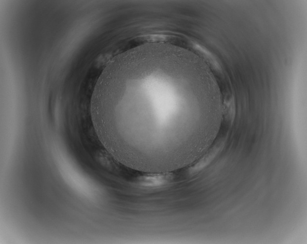X0000113090381200908281248