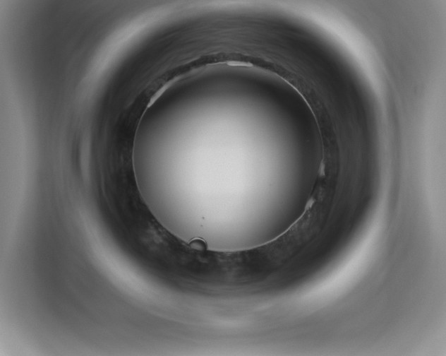 X0000113090382200908281248