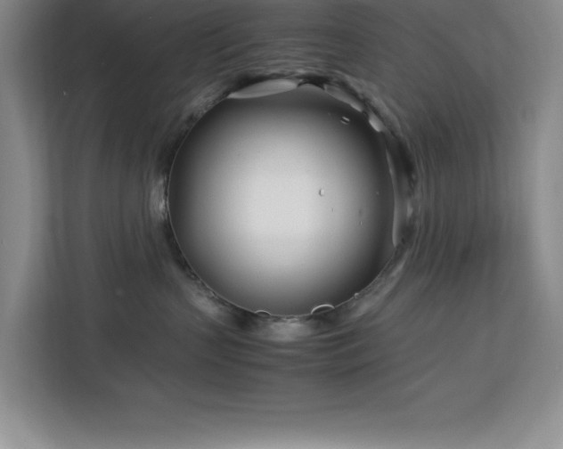X0000113090383200908281248