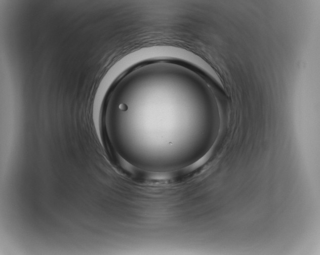 X0000113090384200908281248