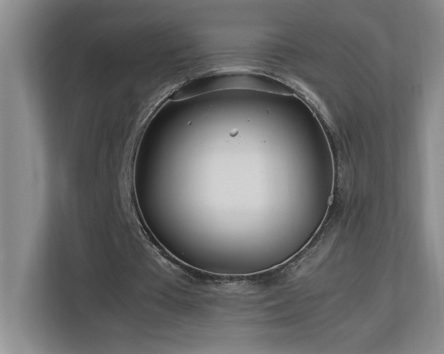 X0000113090385200908281248