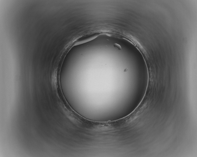 X0000113090386200908281248