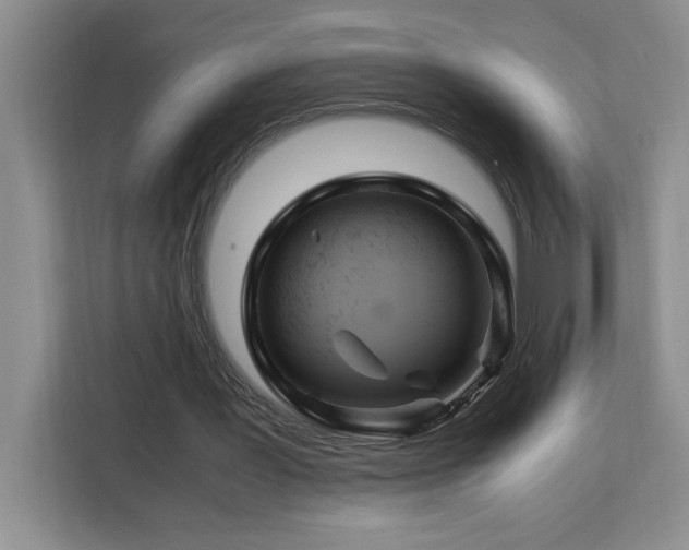 X0000113090387200908281248