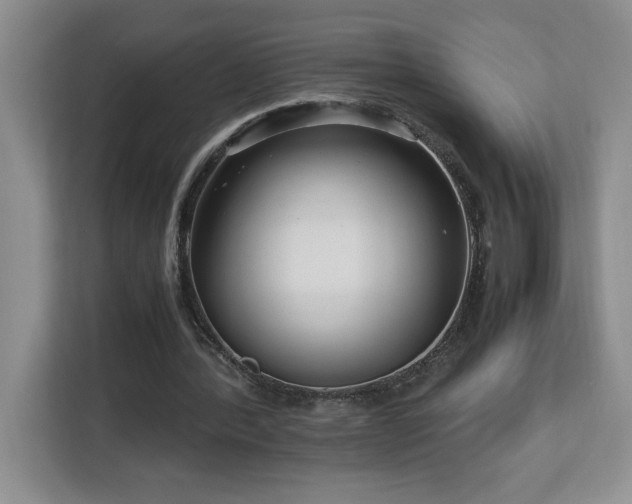 X0000113090388200908281247