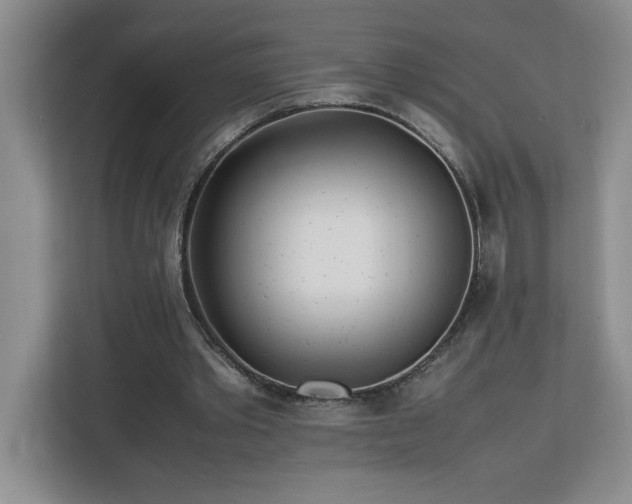 X0000113090389200908281247