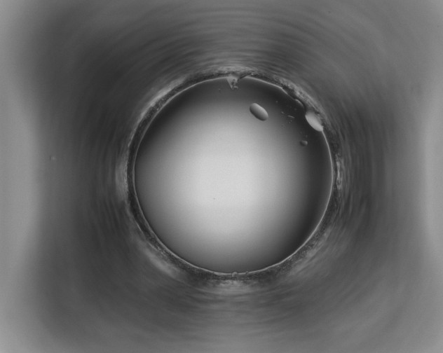 X0000113090390200908281247