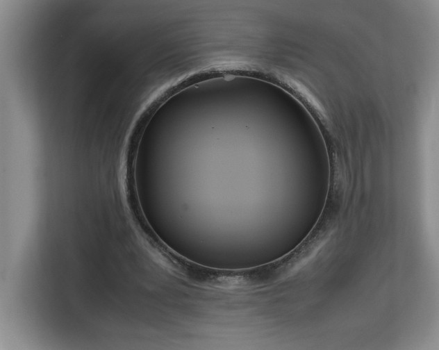X0000113090391200908281247
