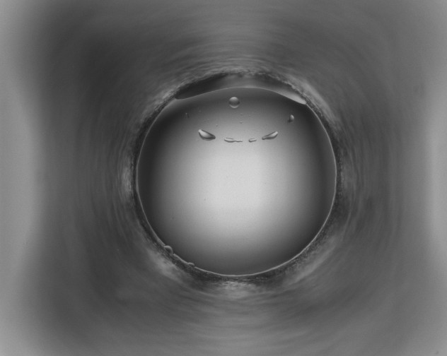 X0000113090393200908281247