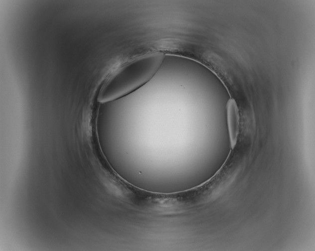 X0000113090395200908281247