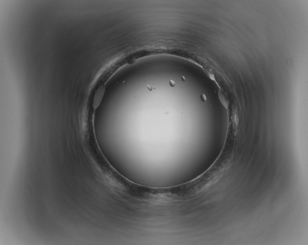 X0000113090396200908281247