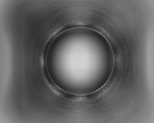 X0000113090398200908281247