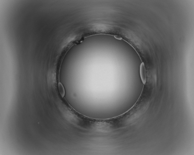 X0000113090399200908281247