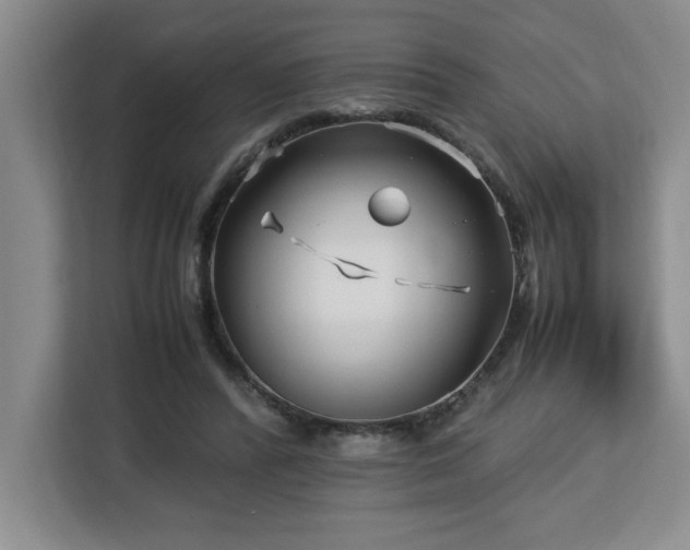 X0000113090400200908281247