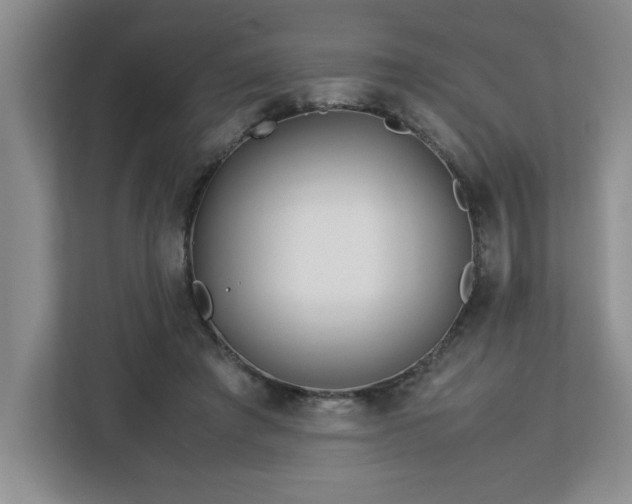 X0000113090401200908281247