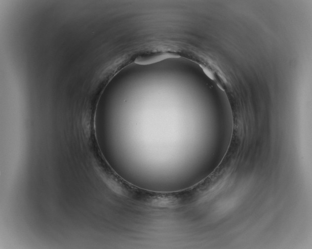 X0000113090402200908281247