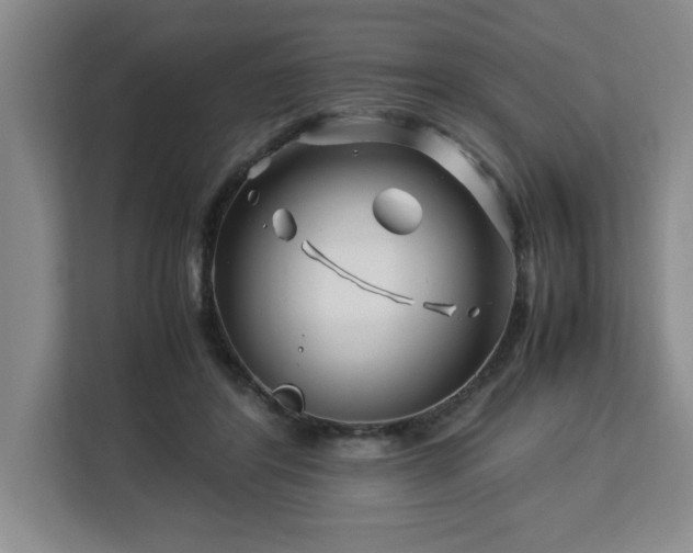 X0000113090404200908281247
