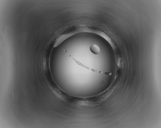 X0000113090408200908281247