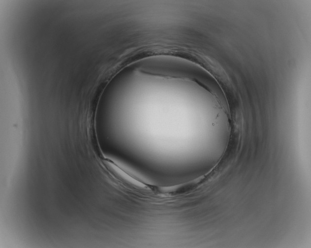 X0000113090409200908281247