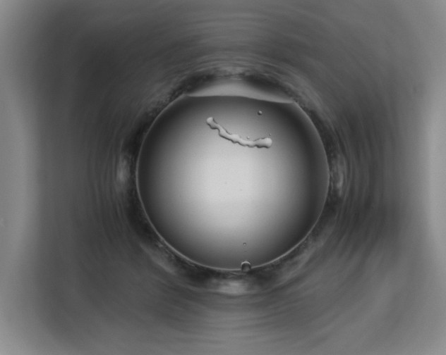 X0000113090412200908281247
