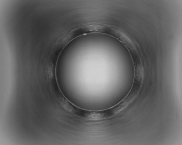 X0000113090413200908281247