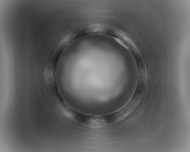 X0000113090415200908281247